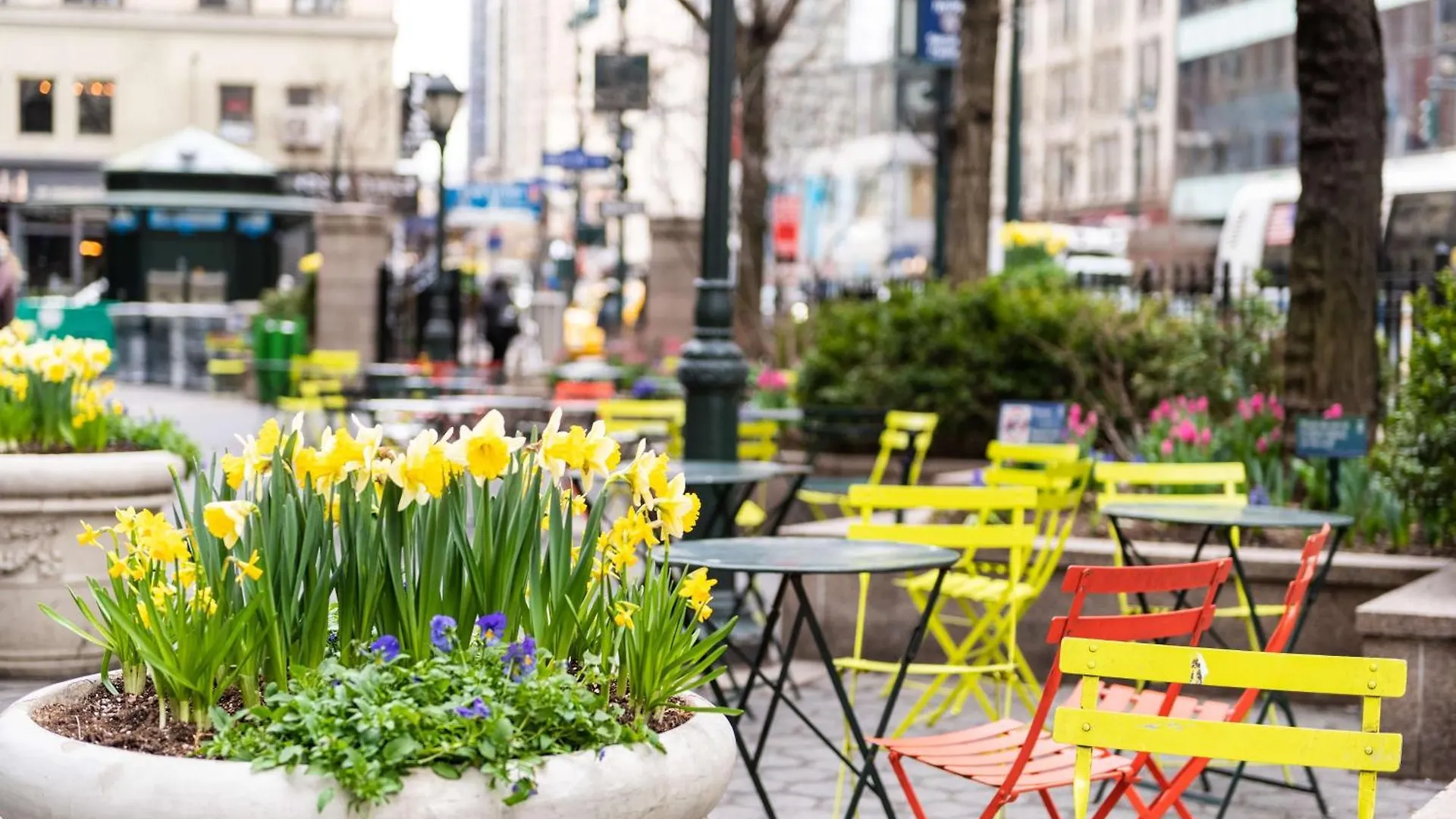 Martinique New York On Broadway, Curio Collection By Hilton Hotell